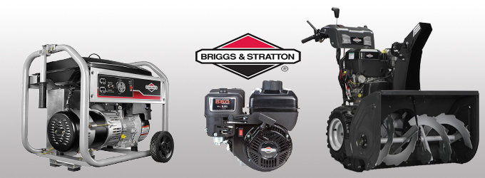 Ремонт Briggs & Stratton в Твери